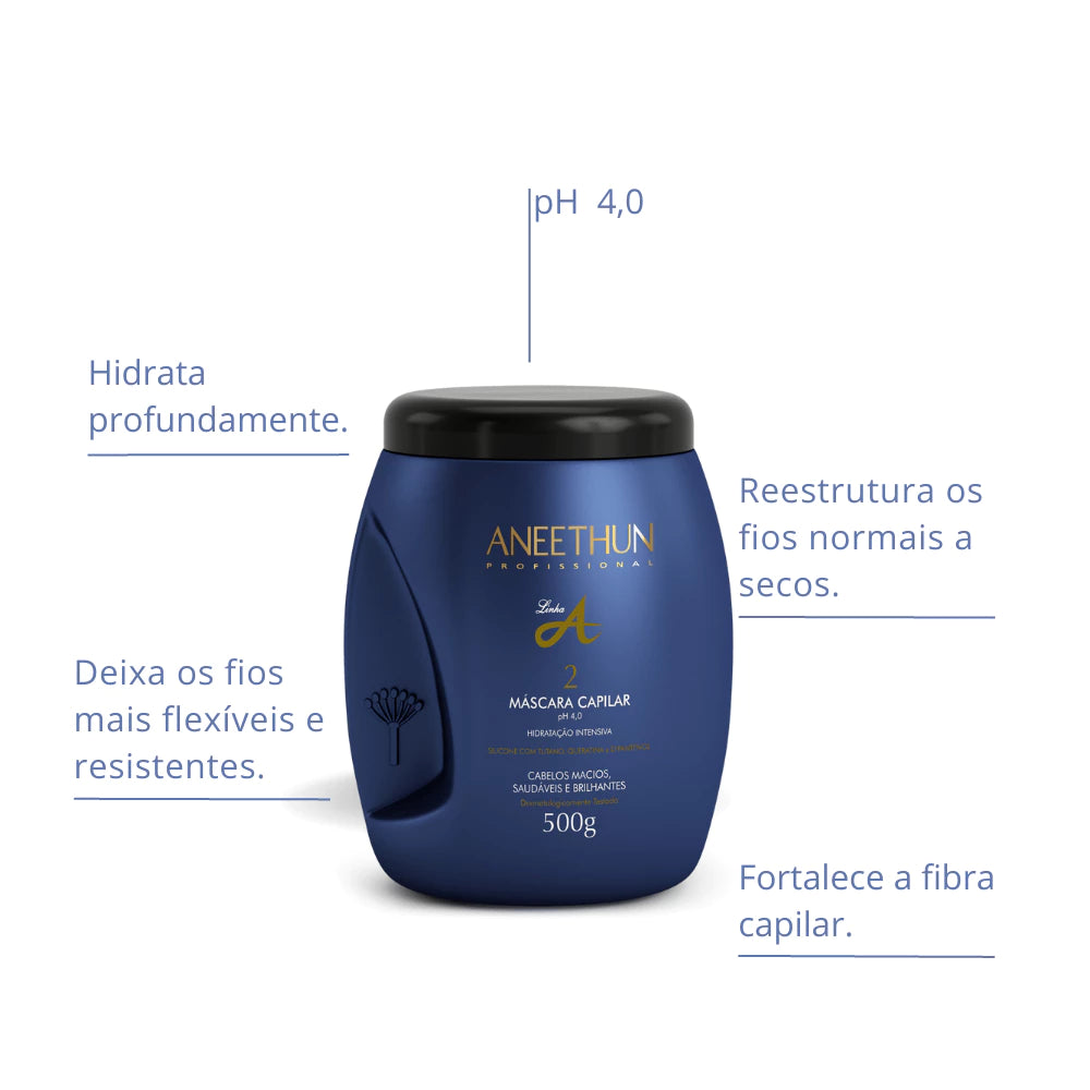 Aneethun Line A Mask 500g Professional Hair Hydration