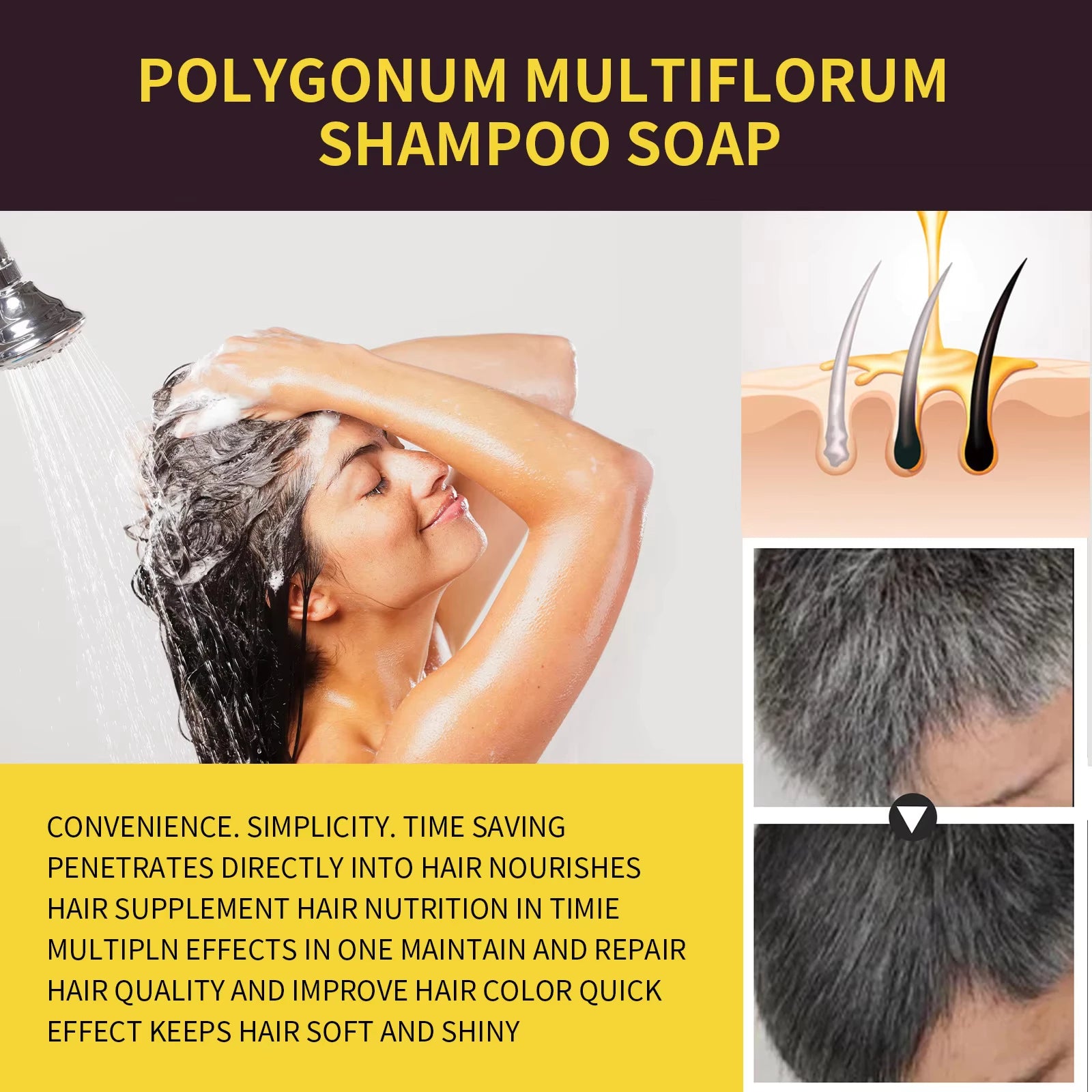 He Shou Wu Hair Shampoo – Moisturizes, Repairs & Naturally Darkens Hair