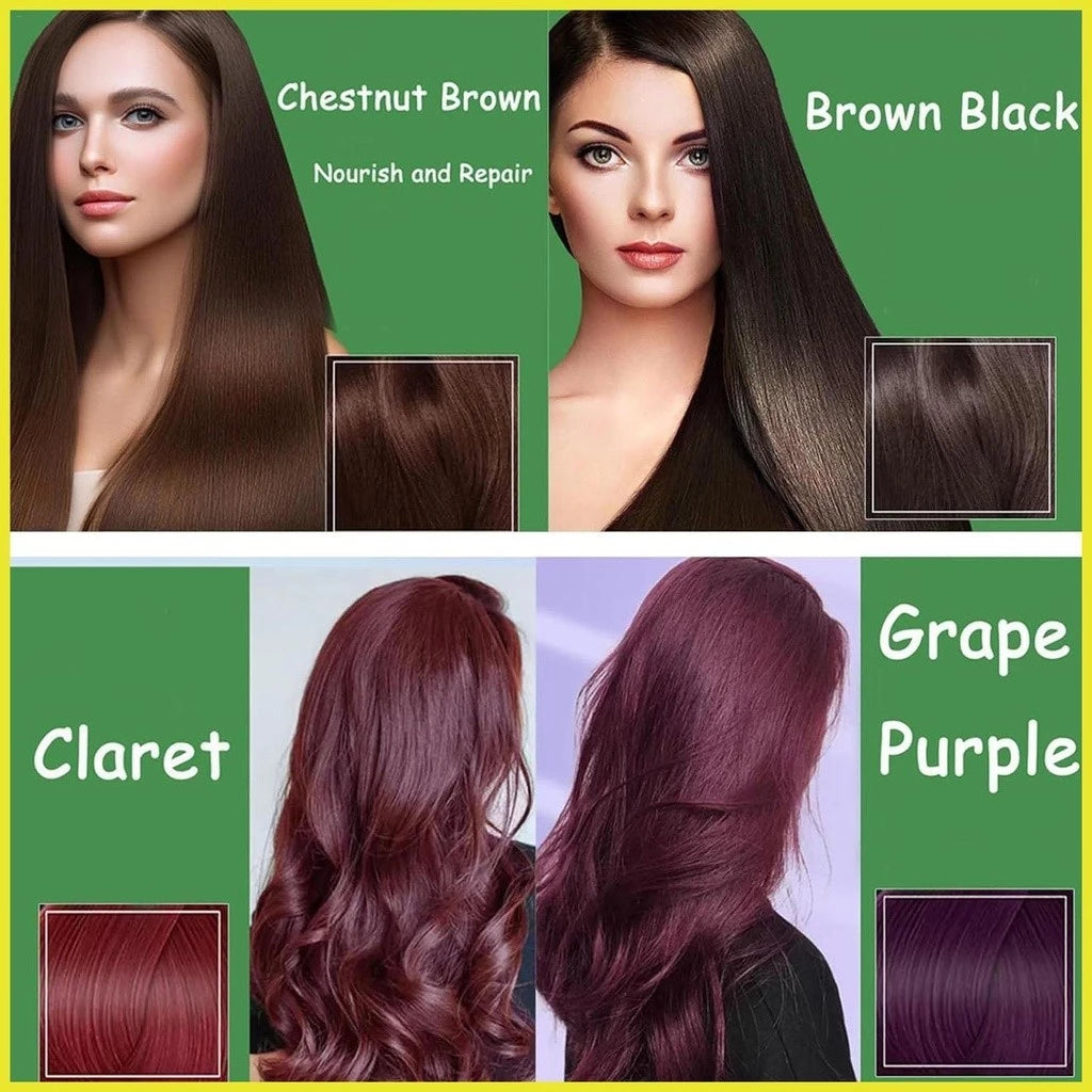 Herbal Hair Color Shampoo 3 In 1 Hair Color Conditioner With Plant Essence For Hair Care