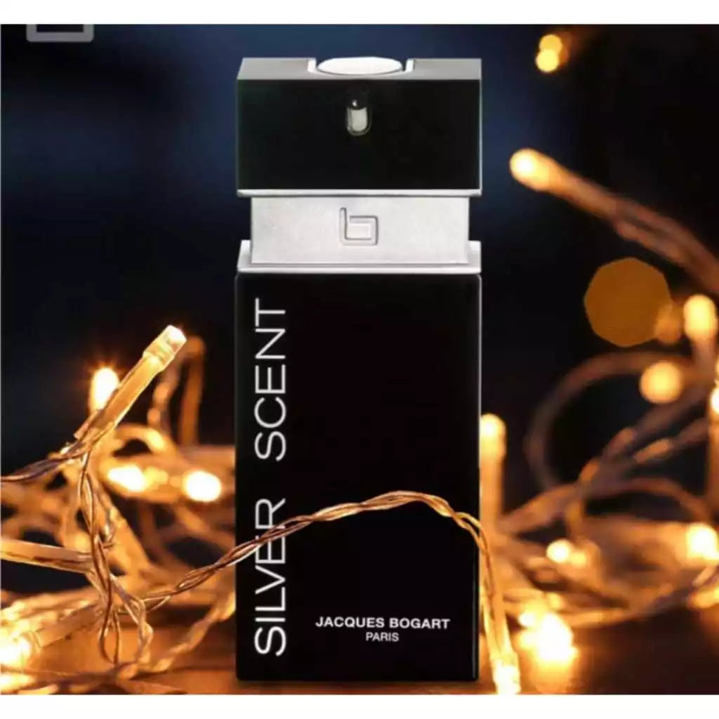 Perfume Silver Scent EDT 100 ML Original