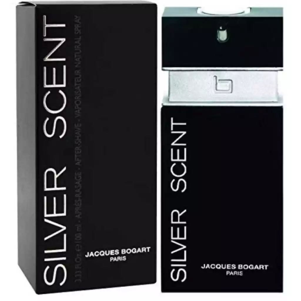 Perfume Silver Scent EDT 100 ML Original